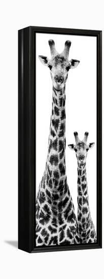 Safari Profile Collection - Giraffe and Baby White Edition IV-Philippe Hugonnard-Framed Premier Image Canvas