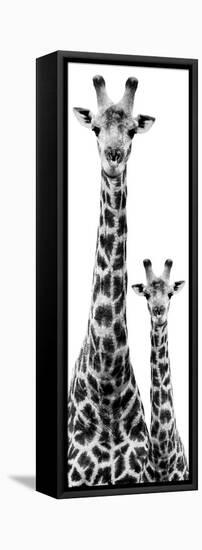 Safari Profile Collection - Giraffe and Baby White Edition IV-Philippe Hugonnard-Framed Premier Image Canvas