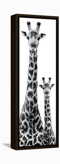 Safari Profile Collection - Giraffe and Baby White Edition IV-Philippe Hugonnard-Framed Premier Image Canvas