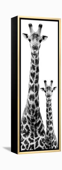 Safari Profile Collection - Giraffe and Baby White Edition IV-Philippe Hugonnard-Framed Premier Image Canvas