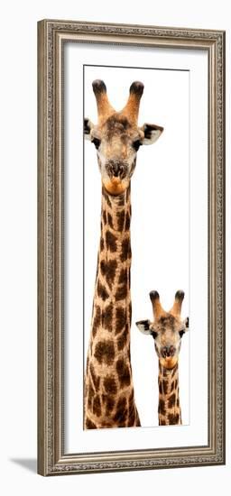 Safari Profile Collection - Giraffe and Baby White Edition V-Philippe Hugonnard-Framed Photographic Print