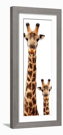 Safari Profile Collection - Giraffe and Baby White Edition V-Philippe Hugonnard-Framed Photographic Print