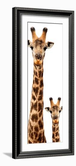 Safari Profile Collection - Giraffe and Baby White Edition V-Philippe Hugonnard-Framed Photographic Print