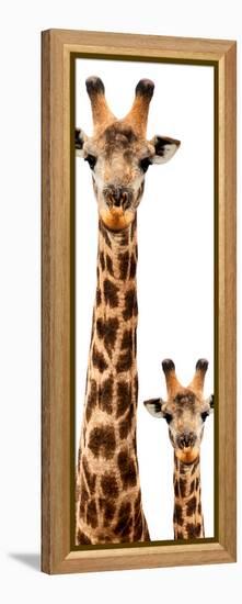 Safari Profile Collection - Giraffe and Baby White Edition V-Philippe Hugonnard-Framed Premier Image Canvas