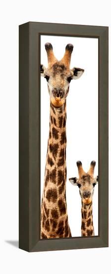 Safari Profile Collection - Giraffe and Baby White Edition V-Philippe Hugonnard-Framed Premier Image Canvas