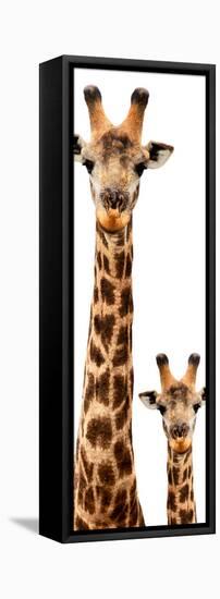 Safari Profile Collection - Giraffe and Baby White Edition V-Philippe Hugonnard-Framed Premier Image Canvas