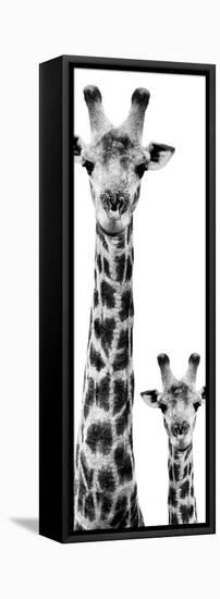 Safari Profile Collection - Giraffe and Baby White Edition VI-Philippe Hugonnard-Framed Premier Image Canvas