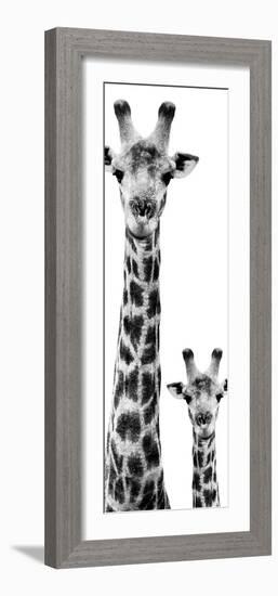 Safari Profile Collection - Giraffe and Baby White Edition VI-Philippe Hugonnard-Framed Photographic Print