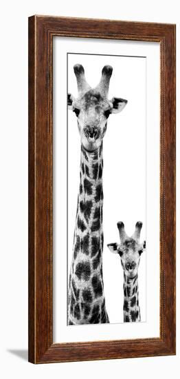 Safari Profile Collection - Giraffe and Baby White Edition VI-Philippe Hugonnard-Framed Photographic Print