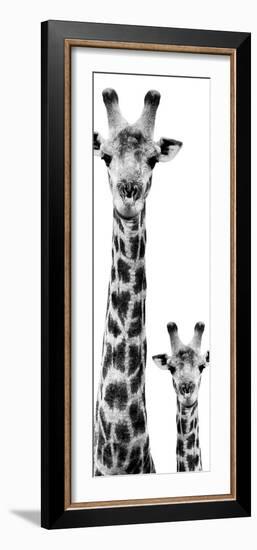 Safari Profile Collection - Giraffe and Baby White Edition VI-Philippe Hugonnard-Framed Photographic Print