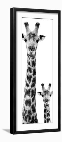 Safari Profile Collection - Giraffe and Baby White Edition VI-Philippe Hugonnard-Framed Photographic Print