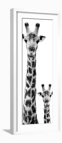 Safari Profile Collection - Giraffe and Baby White Edition VI-Philippe Hugonnard-Framed Photographic Print