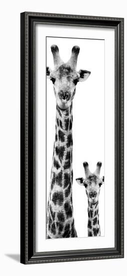 Safari Profile Collection - Giraffe and Baby White Edition VI-Philippe Hugonnard-Framed Photographic Print