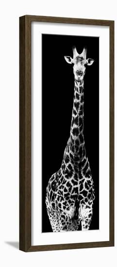 Safari Profile Collection - Giraffe Black Edition IV-Philippe Hugonnard-Framed Photographic Print