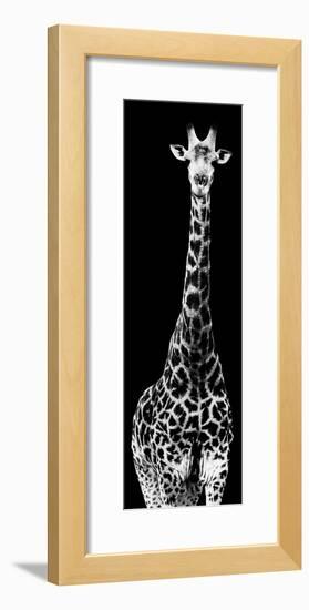 Safari Profile Collection - Giraffe Black Edition IV-Philippe Hugonnard-Framed Photographic Print