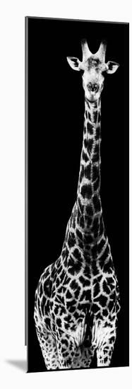 Safari Profile Collection - Giraffe Black Edition IV-Philippe Hugonnard-Mounted Photographic Print