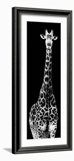 Safari Profile Collection - Giraffe Black Edition IV-Philippe Hugonnard-Framed Photographic Print