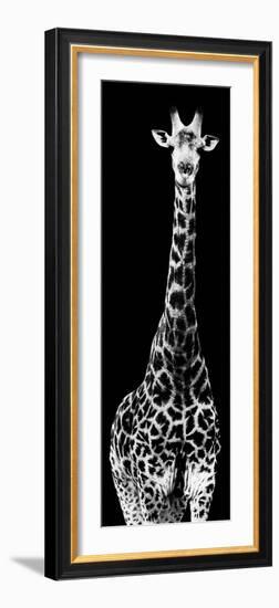 Safari Profile Collection - Giraffe Black Edition IV-Philippe Hugonnard-Framed Photographic Print