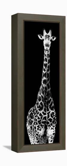 Safari Profile Collection - Giraffe Black Edition IV-Philippe Hugonnard-Framed Premier Image Canvas