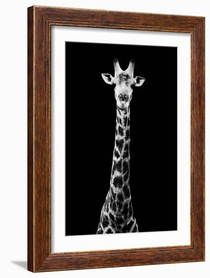 Safari Profile Collection - Giraffe Black Edition VIII-Philippe Hugonnard-Framed Photographic Print