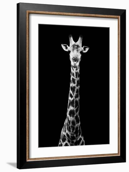 Safari Profile Collection - Giraffe Black Edition VIII-Philippe Hugonnard-Framed Photographic Print