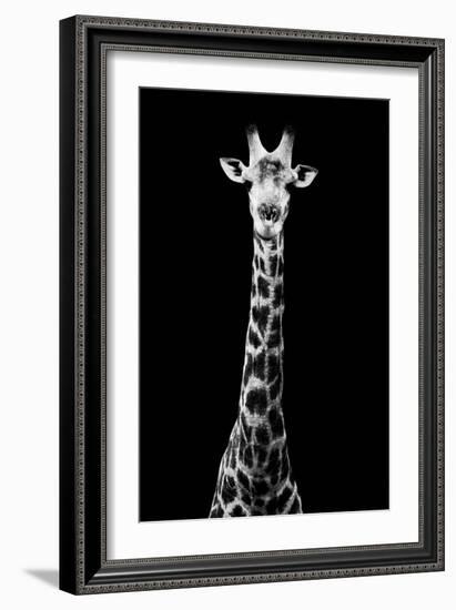 Safari Profile Collection - Giraffe Black Edition VIII-Philippe Hugonnard-Framed Photographic Print