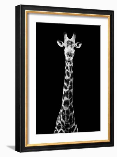 Safari Profile Collection - Giraffe Black Edition VIII-Philippe Hugonnard-Framed Photographic Print