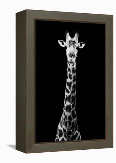 Safari Profile Collection - Giraffe Black Edition VIII-Philippe Hugonnard-Framed Premier Image Canvas