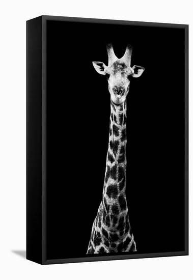 Safari Profile Collection - Giraffe Black Edition VIII-Philippe Hugonnard-Framed Premier Image Canvas