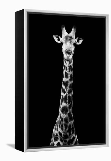 Safari Profile Collection - Giraffe Black Edition VIII-Philippe Hugonnard-Framed Premier Image Canvas