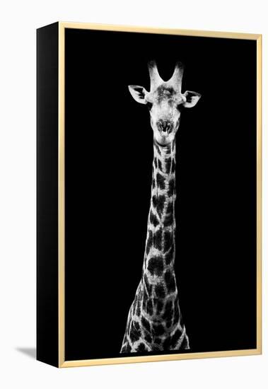 Safari Profile Collection - Giraffe Black Edition VIII-Philippe Hugonnard-Framed Premier Image Canvas