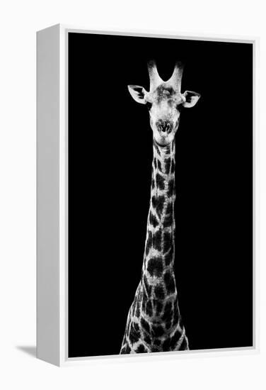 Safari Profile Collection - Giraffe Black Edition VIII-Philippe Hugonnard-Framed Premier Image Canvas