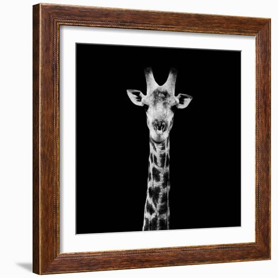 Safari Profile Collection - Giraffe Portrait Black Edition II-Philippe Hugonnard-Framed Photographic Print