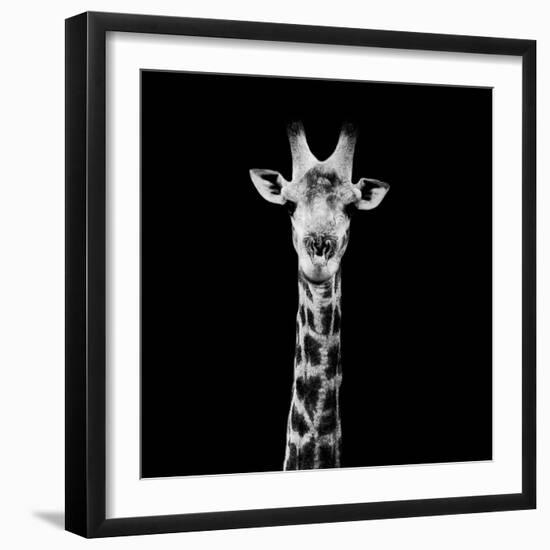 Safari Profile Collection - Giraffe Portrait Black Edition II-Philippe Hugonnard-Framed Photographic Print