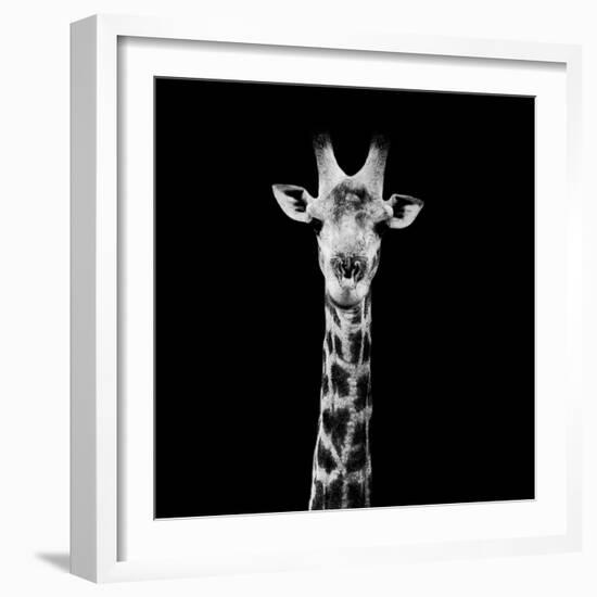 Safari Profile Collection - Giraffe Portrait Black Edition II-Philippe Hugonnard-Framed Photographic Print