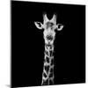 Safari Profile Collection - Giraffe Portrait Black Edition II-Philippe Hugonnard-Mounted Photographic Print