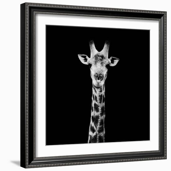 Safari Profile Collection - Giraffe Portrait Black Edition II-Philippe Hugonnard-Framed Photographic Print