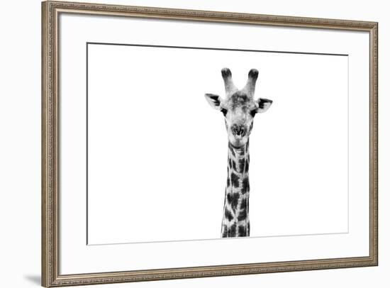 Safari Profile Collection - Giraffe Portrait White Edition II-Philippe Hugonnard-Framed Photographic Print