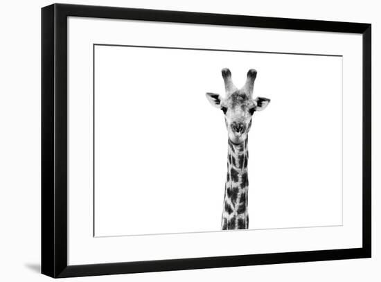 Safari Profile Collection - Giraffe Portrait White Edition II-Philippe Hugonnard-Framed Photographic Print