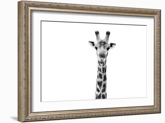 Safari Profile Collection - Giraffe Portrait White Edition II-Philippe Hugonnard-Framed Photographic Print