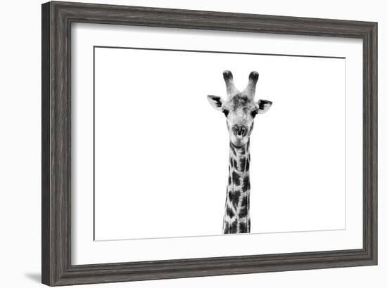 Safari Profile Collection - Giraffe Portrait White Edition II-Philippe Hugonnard-Framed Photographic Print