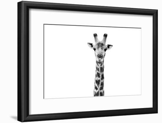 Safari Profile Collection - Giraffe Portrait White Edition II-Philippe Hugonnard-Framed Photographic Print