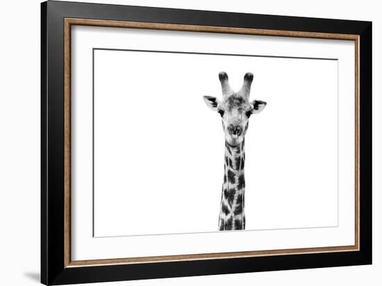 Safari Profile Collection - Giraffe Portrait White Edition II-Philippe Hugonnard-Framed Photographic Print