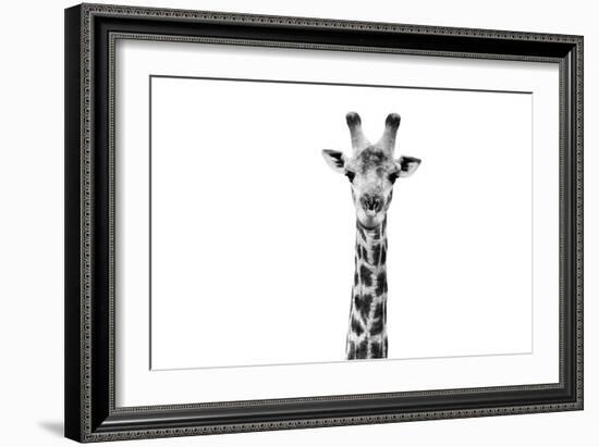 Safari Profile Collection - Giraffe Portrait White Edition II-Philippe Hugonnard-Framed Photographic Print