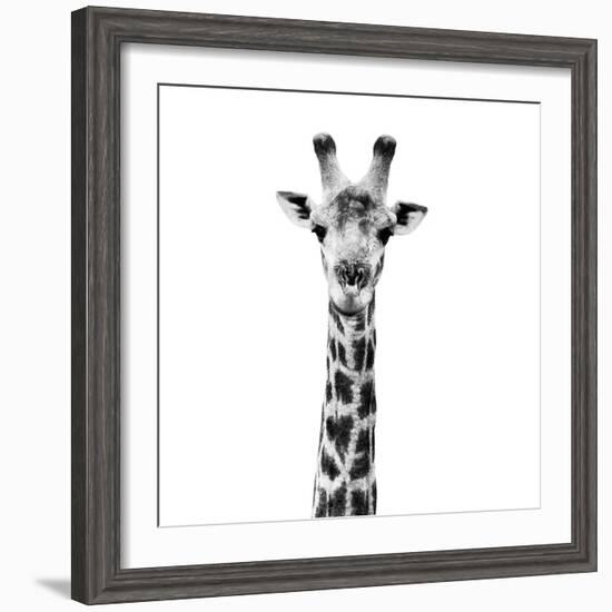 Safari Profile Collection - Giraffe Portrait White Edition IV-Philippe Hugonnard-Framed Photographic Print