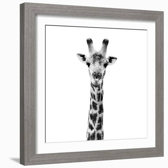 Safari Profile Collection - Giraffe Portrait White Edition IV-Philippe Hugonnard-Framed Photographic Print