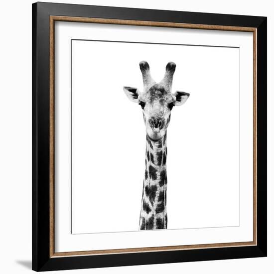 Safari Profile Collection - Giraffe Portrait White Edition IV-Philippe Hugonnard-Framed Photographic Print