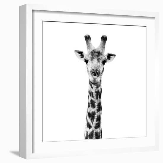 Safari Profile Collection - Giraffe Portrait White Edition IV-Philippe Hugonnard-Framed Photographic Print