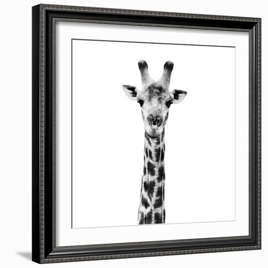 Safari Profile Collection - Giraffe Portrait White Edition IV-Philippe Hugonnard-Framed Photographic Print