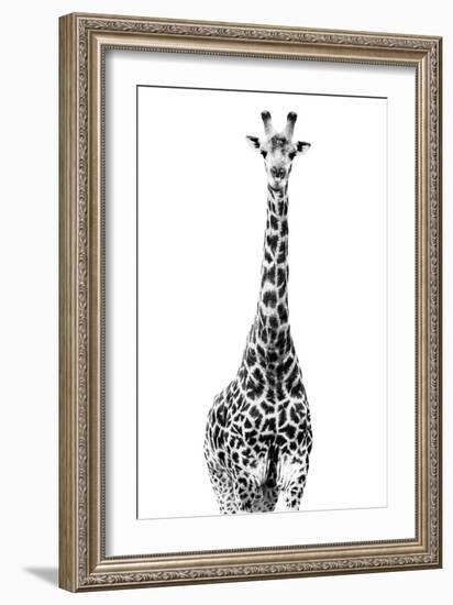 Safari Profile Collection - Giraffe White Edition II-Philippe Hugonnard-Framed Photographic Print